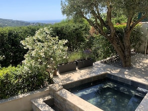 A pool area with a stone edge, surrounded by greenery and a view of the landscape.