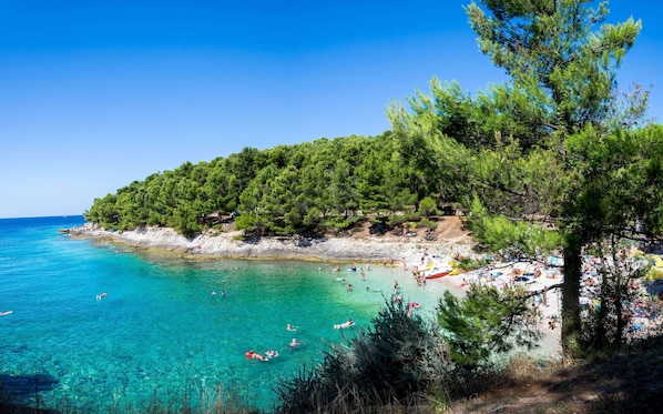 A coastal beach with clear turquoise waters, a rocky shoreline, and dense green pine trees.