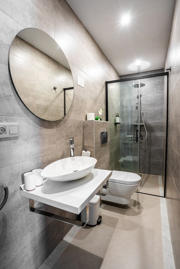 Chuveiro, secador de cabelo, toalhas de banho, sabonete