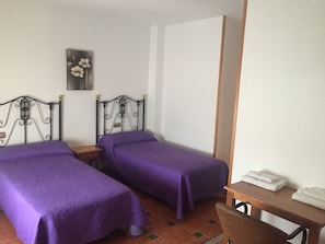 Basic Double or Twin Room