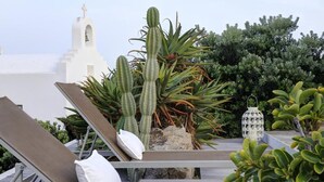 Un lounge en la azotea con tumbonas, cactus y un edificio blanco con una torre de campanas al fondo.