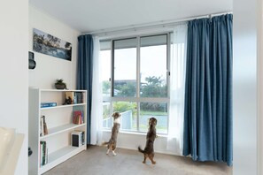 A room with a large window, a bookshelf, and two dogs standing by the window.