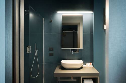 Champion - Double Bed - Private Fitness Corner | Baño | Regadera, regadera tipo lluvia, secadora de cabello, pantuflas