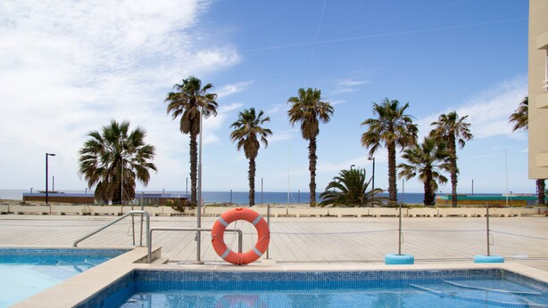 Una piscina con un flotador salvavidas, palmeras y un cielo despejado.