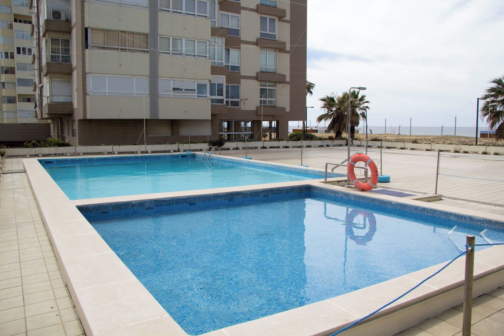 A rectangular swimming pool with a lifebuoy and a palm tree in the background.