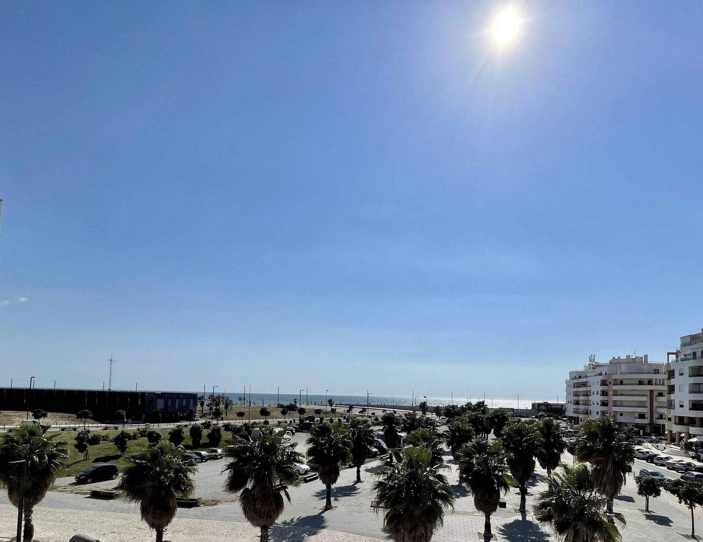A coastal area with a clear sky, palm trees, and buildings.