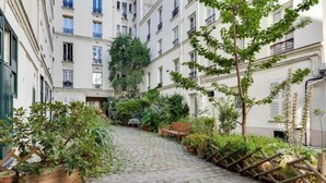 Un estrecho callejón adoquinado flanqueado por edificios de varios pisos con balcones, plantas en macetas y un banco de madera.
