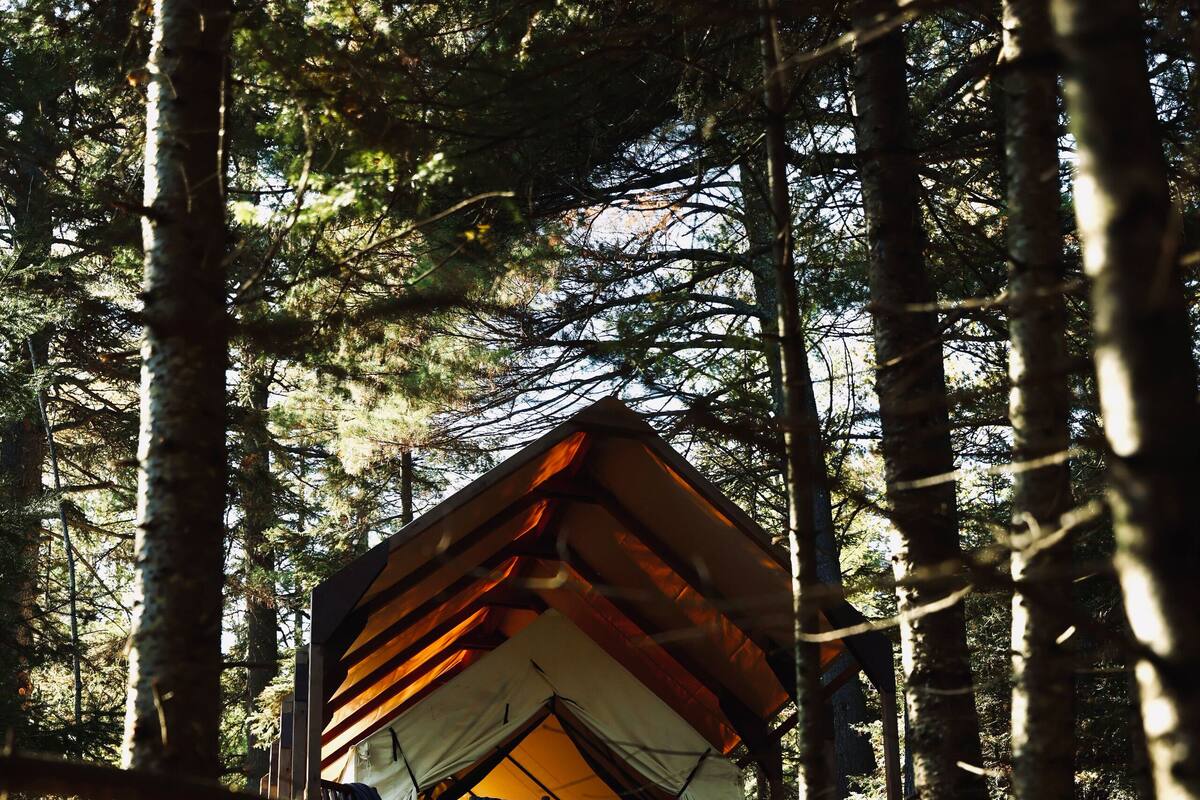 A treehouse cabin in a forest.