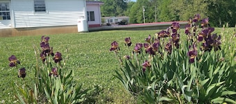  #NoCleaningFee! Pool Table, Hot tub, fireplace overlooking Wreck Island Creek