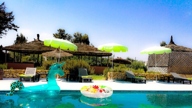 A pool area with lounge chairs, umbrellas, and a decorative dolphin float.