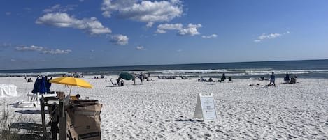 Sun-loungers, beach towels