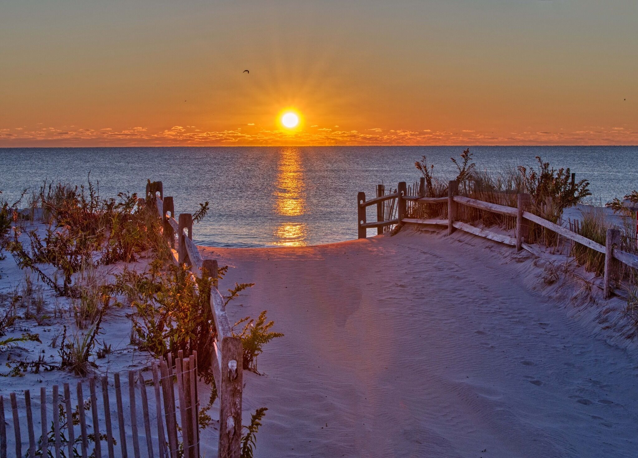 كراسي للتشمس