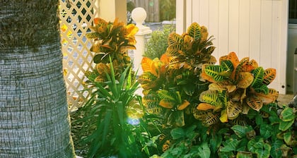 Beachside Gardens Apartments by Lowkl