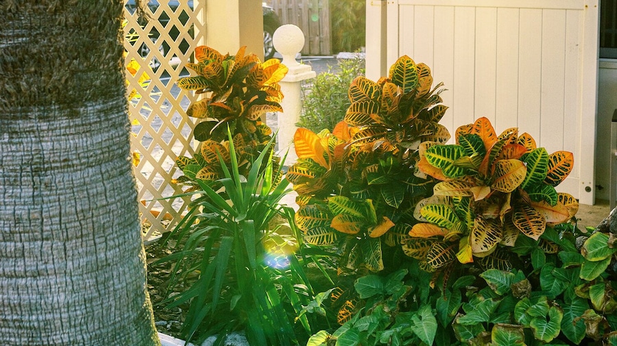 Beachside Gardens Apartments by Lowkl