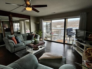 Smart TV, fireplace, books