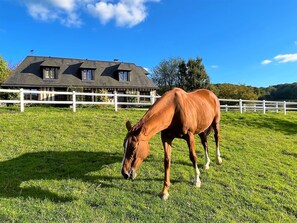 Jardines del alojamiento