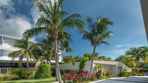 Ein Resort mit Palmen, einem weißen Gebäude und blauem Himmel.
