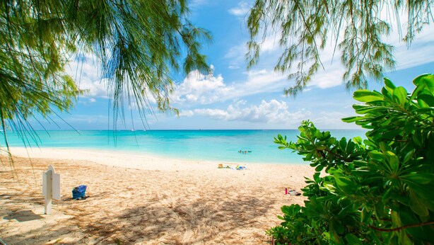 Ein Strand mit klarem türkisblauem Wasser, einem sandigen Ufer und etwas Grün im Vordergrund.