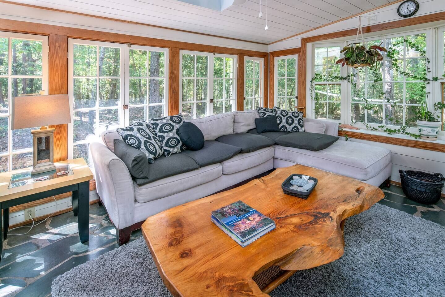 Smart TV, fireplace, DVD player, books