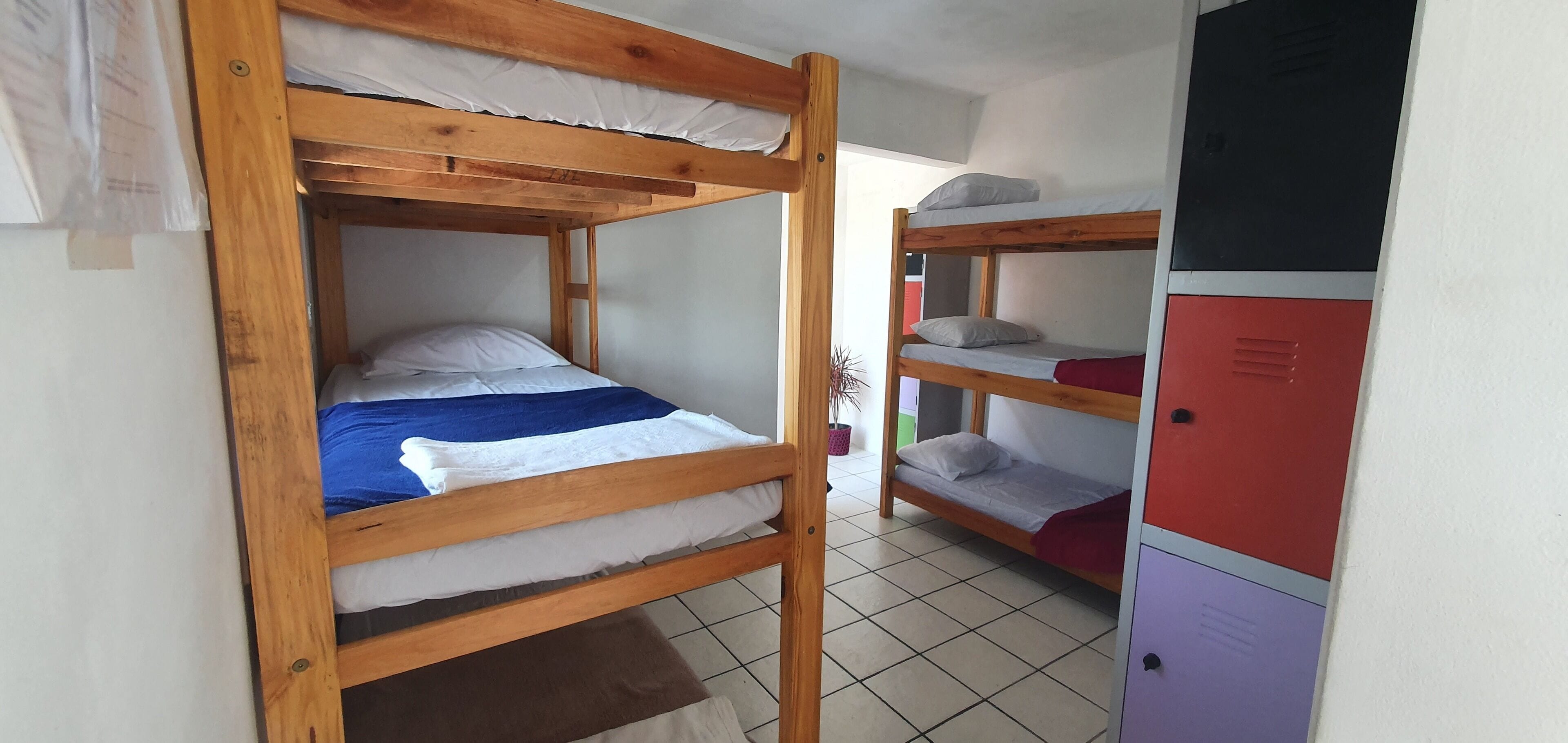 A dormitory room with bunk beds, a tiled floor, and a small potted plant.