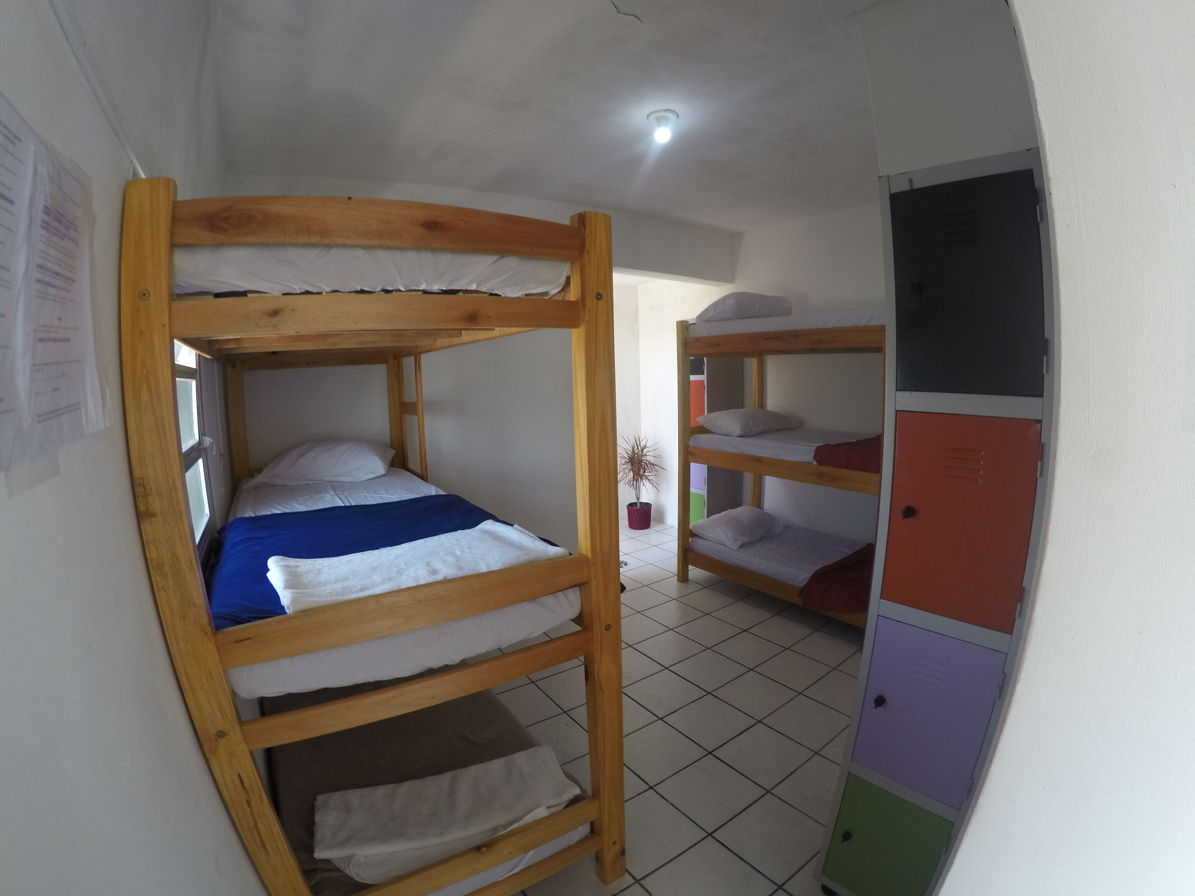 A bunk bed room with a tiled floor, a ceiling light, and a small potted plant.