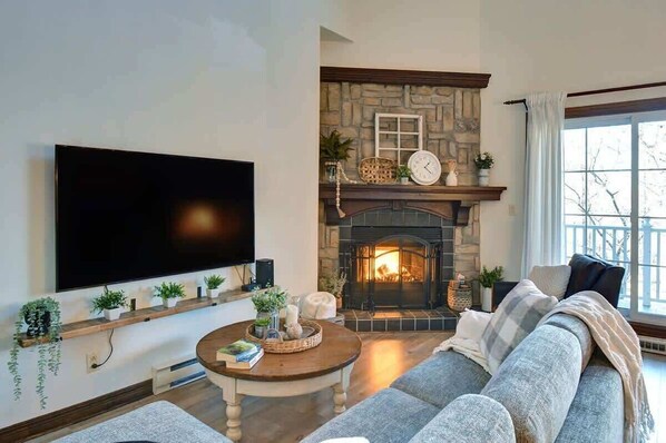 TV, fireplace, books