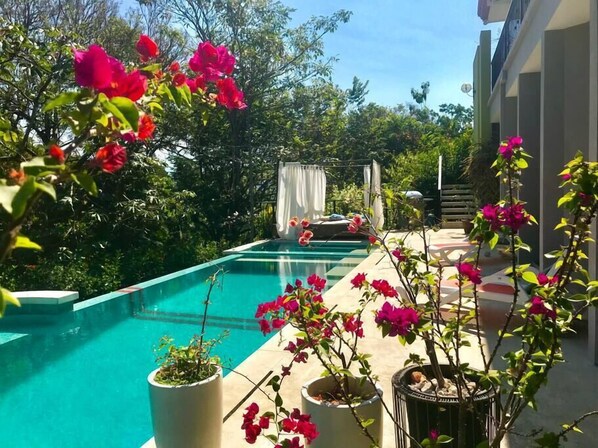 A swimming pool with a view of a building and lush greenery.
