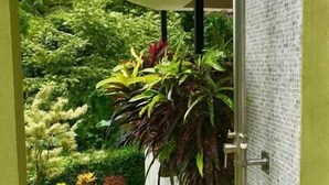 A shower with a view of a lush garden. - Moonshine Inn - 1 BR Studio Loft with Ocean & Jungle Views, Moonshine Inn -- 1BR Studio Loft (Quepos)