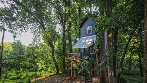 A treehouse cabin surrounded by dense forest.