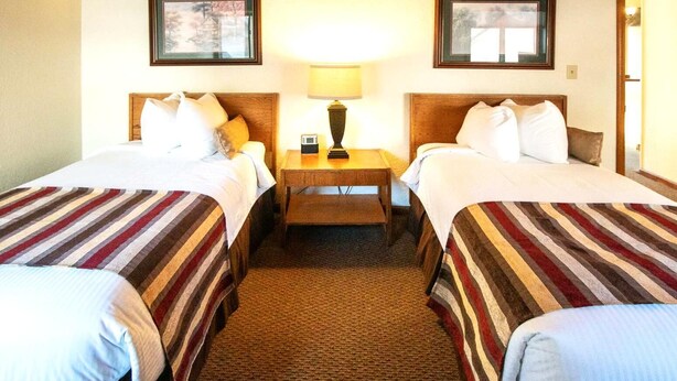 A hotel room with two beds, a nightstand with a lamp, and a carpeted floor.