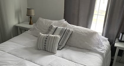 Mint Vintage 2 bed apt Walk to the locks Sault USA
