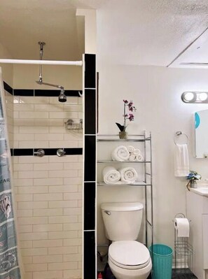 Dusche, Haartrockner, Handtücher, Seife