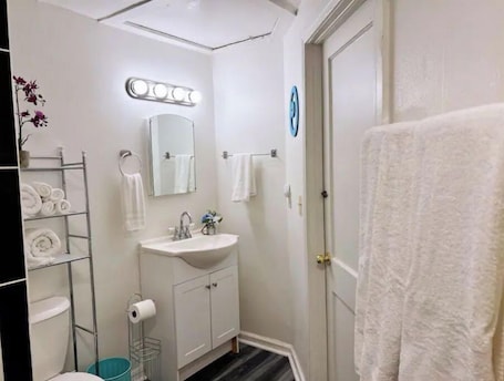 Shower, hair dryer, towels, soap. 1bdr/1bthr near JAX downtown pet friendly 124B