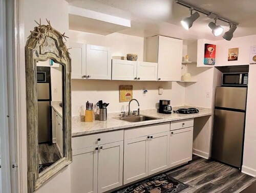 1bdr/1bthr near JAX downtown pet friendly 124B