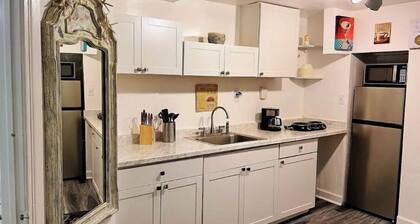 1bdr/1bthr near JAX downtown pet friendly 124B