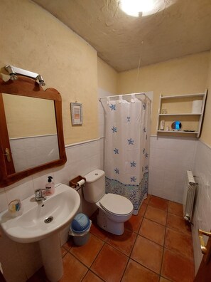 Bathtub, hair dryer, bidet, towels