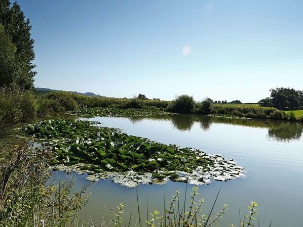 Casa de campo | Áreas de la propiedad