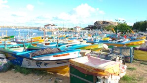 Un puerto deportivo con numerosas embarcaciones de colores amarradas.