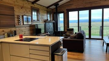 Smart TV, fireplace, books