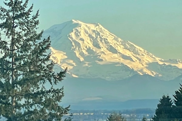 View of Mt. Rainier from the space