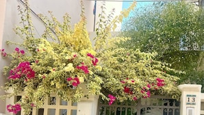 A gated entrance with a number 13 sign, a white wall, and a metal gate with decorative elements. - Mary's Central Beachside Mansion- with large Terrace and Balcony  (Agios Nikolaos)