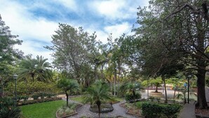 A landscaped garden with a circular stone pathway, palm trees, and various shrubs. - Home2Book Charming Attic Arucas Center, Terrace (Arucas)