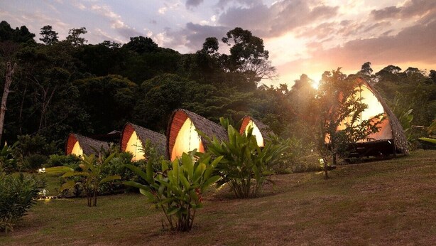 A row of thatched-roof huts with warm interior lighting, surrounded by lush greenery and trees.