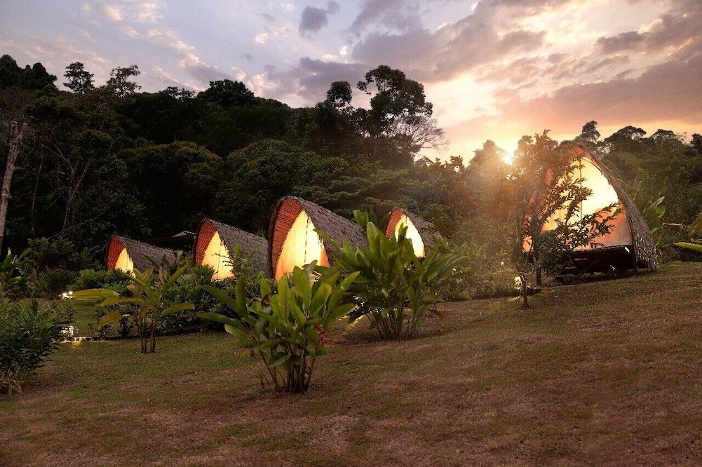 Esquipulas Rainforest