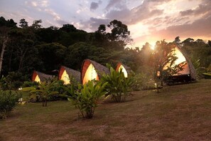 Bed sheets - Esquipulas Rainforest (San Lorenzo)