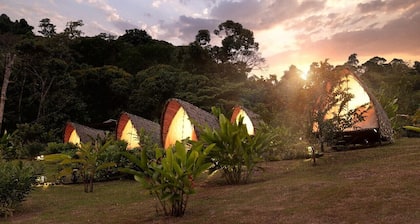 Esquipulas Rainforest