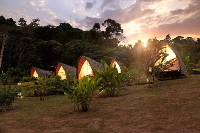 Esquipulas Rainforest