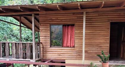 Esquipulas Rainforest