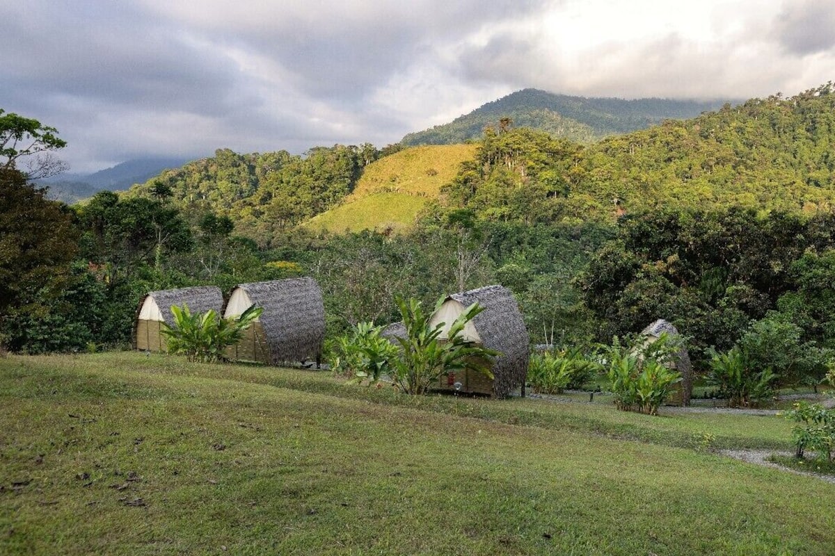 A rural setting with thatched-roof huts surrounded by lush greenery and hills in the background.