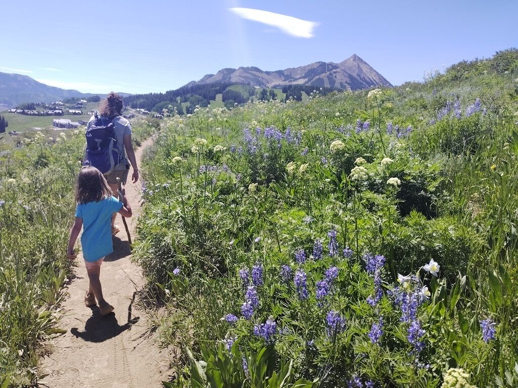 En person som promenerar på en grusväg omgiven av grönska och blommor, med berg i bakgrunden.